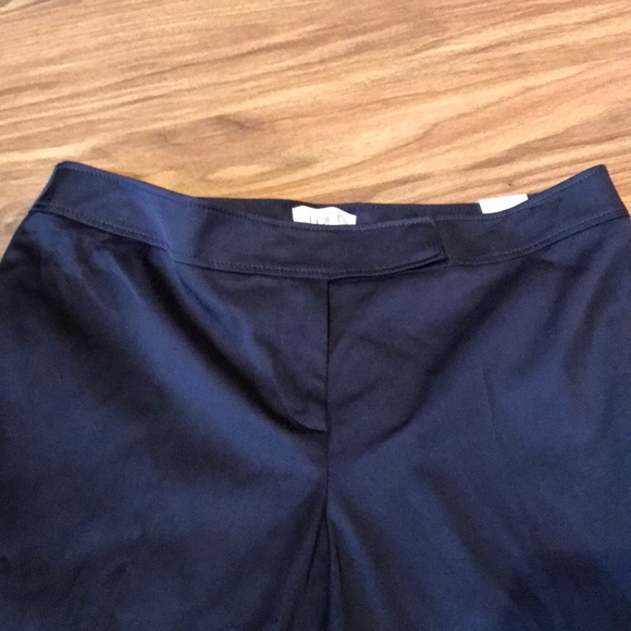 Ann Taylor Loft Marisa Pants - Picture 4 of 7